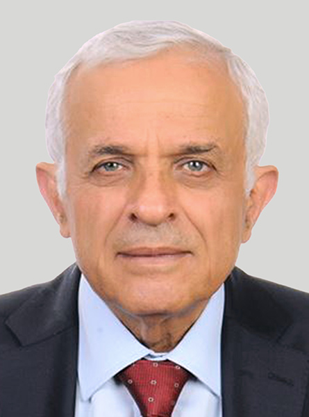 د. رضوان السيد