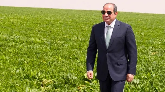 الدلتا الجديدة.. مشروع يعيد رسم خريطة الزراعة والتنمية في مصر