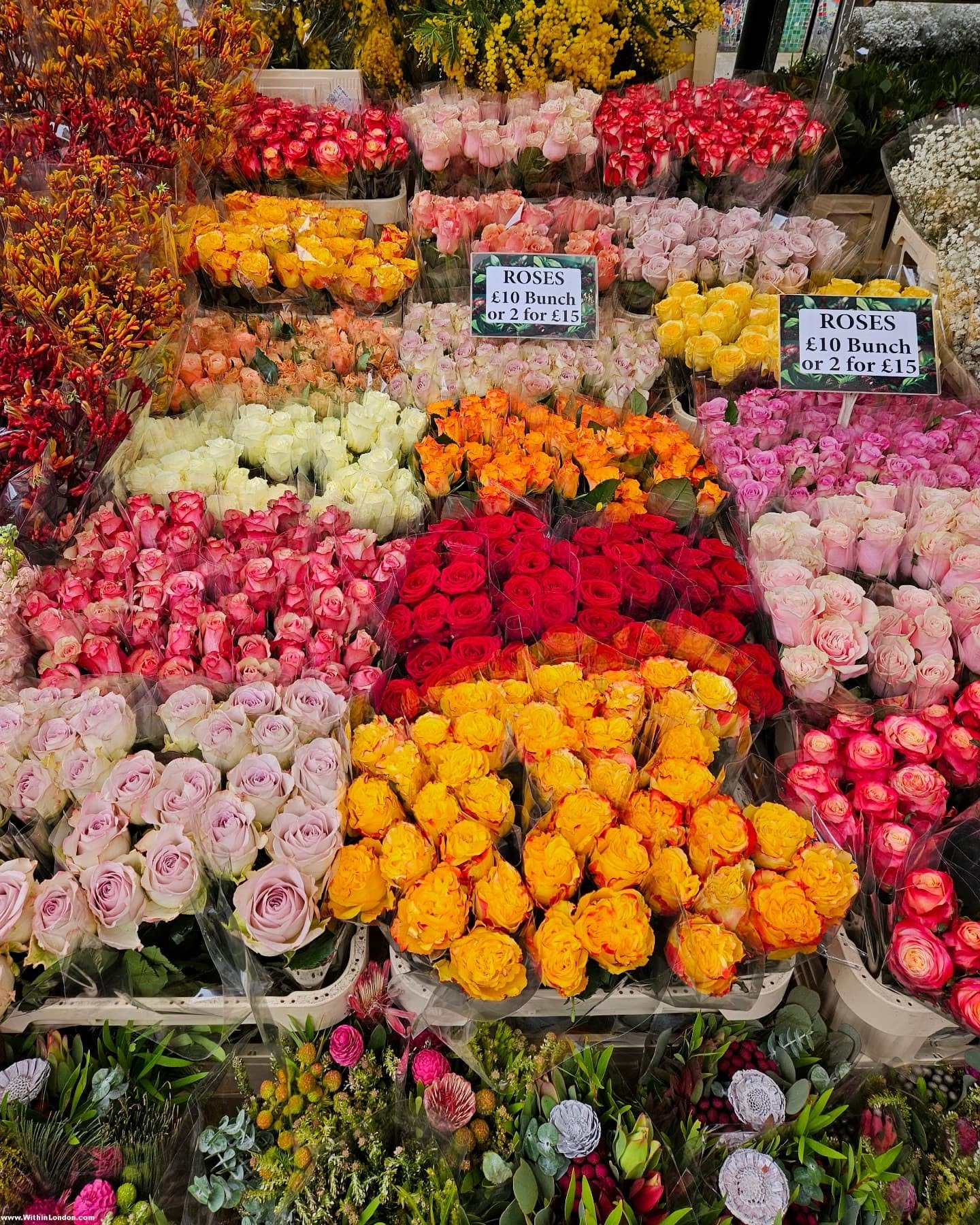  كولومبيا رود..
شارع تبيع فيه لندن الزهور وتحفظ ذاكرة الفقراء